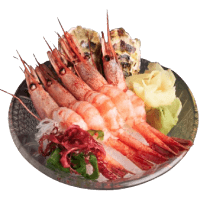 SASHIMI